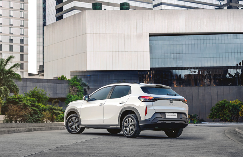 Volkswagen Tera vista trasera