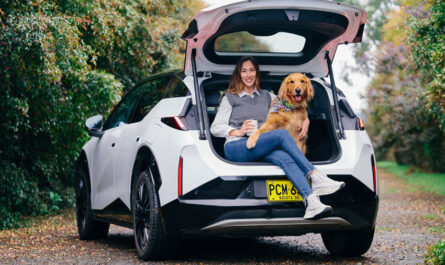 Zeekr X Modo Mascota