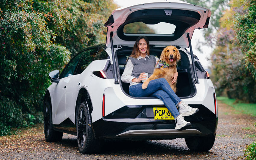 Zeekr X Modo Mascota: innovación para quienes viajan con perros y gatos