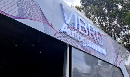 Vibro Autogermana 2025 exhibición