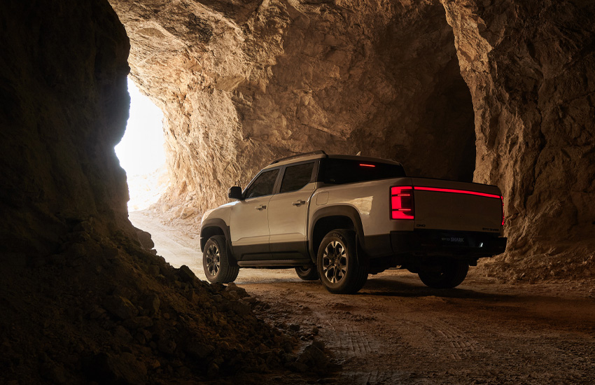 Vista trasera BYD Shark